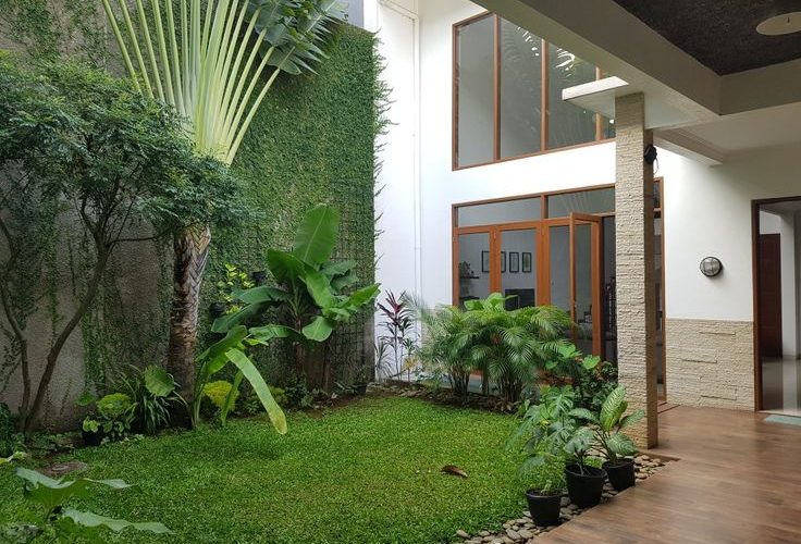 cara mengatasi banyak nyamuk di kamar