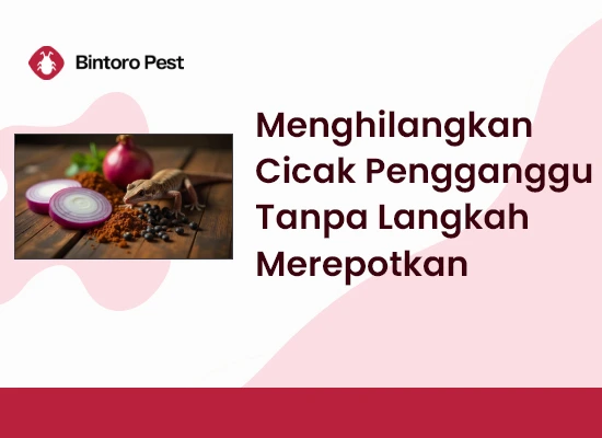Cara Menghilangkan Cicak Pengganggu Tanpa Langkah Merepotkan