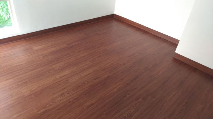 Cara Mencegah Kecoa Berkembang Biak