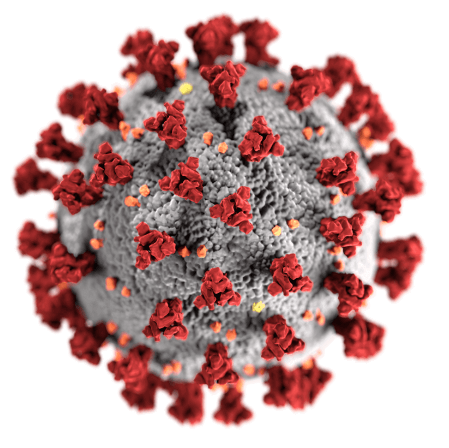 Virus dan Bakteri