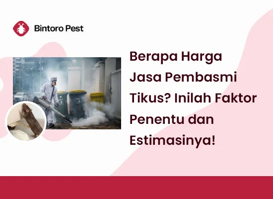 tikus