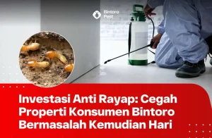 bintoro corp bermasalah